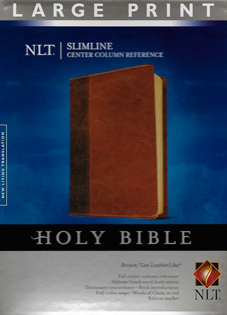 31.-NLT-LP-31.99
