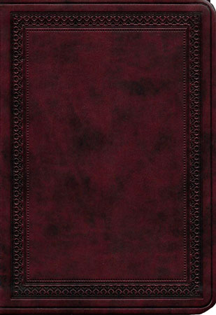 47.-ESV-Value-LP-Compact-14.99